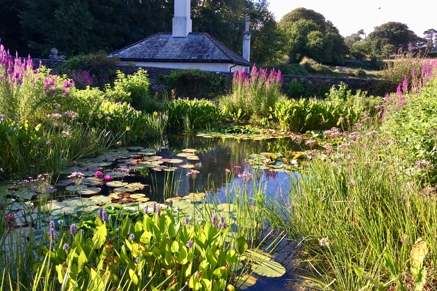 below-right-heading-image-865px Natural garden ponds South Devon