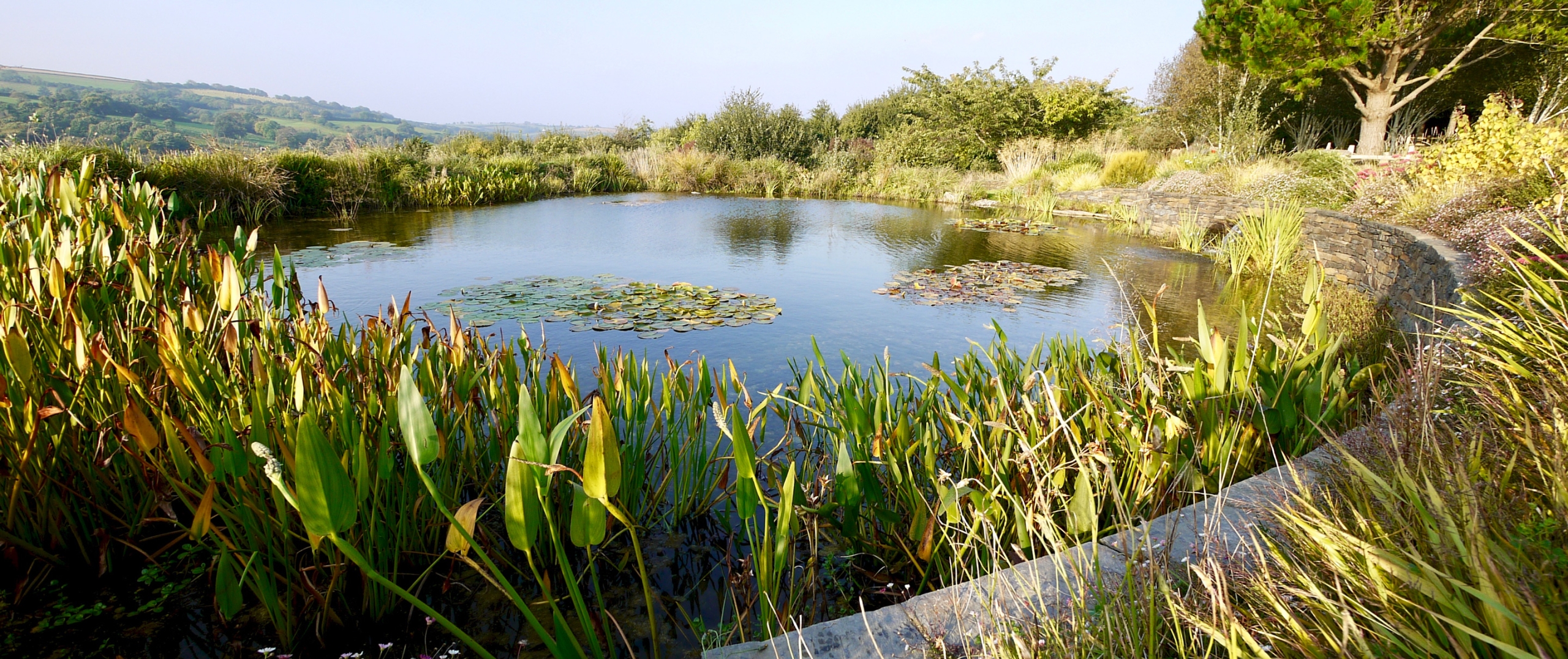 Waterscape experts South Devon, natural pond & lake excavation & restoration specialists