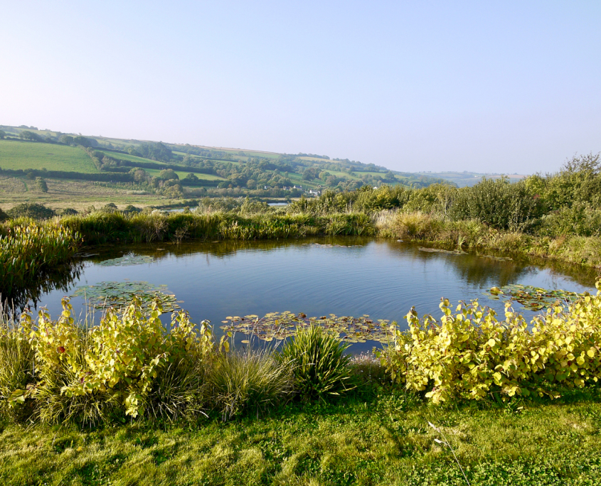 below-right-heading-image-1500px Natural swimming ponds & lakes South Devon - Earthform