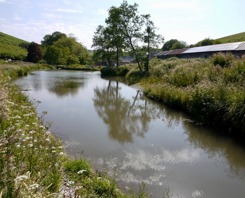 below-right-heading-image Lake de-silting & restoration South Devon