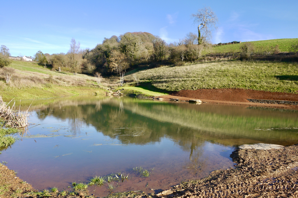 Lake construction & waterscape experts South Devon | Earthform