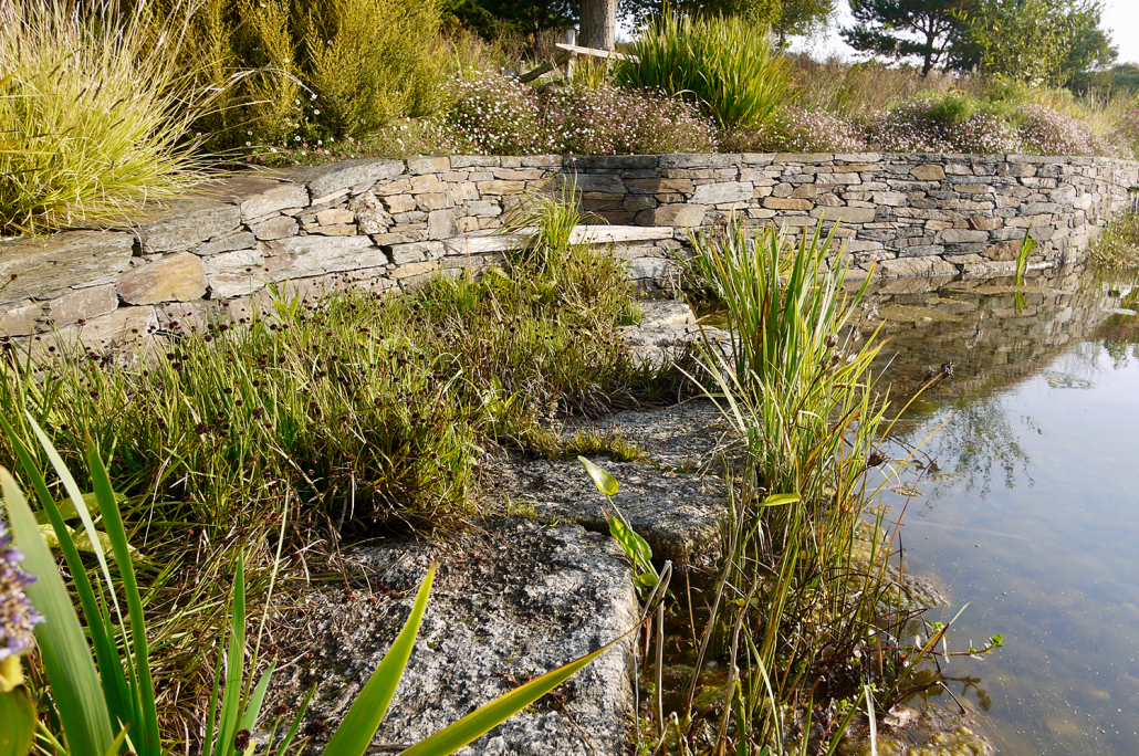 Natural waterscape & pond construction experts Devon