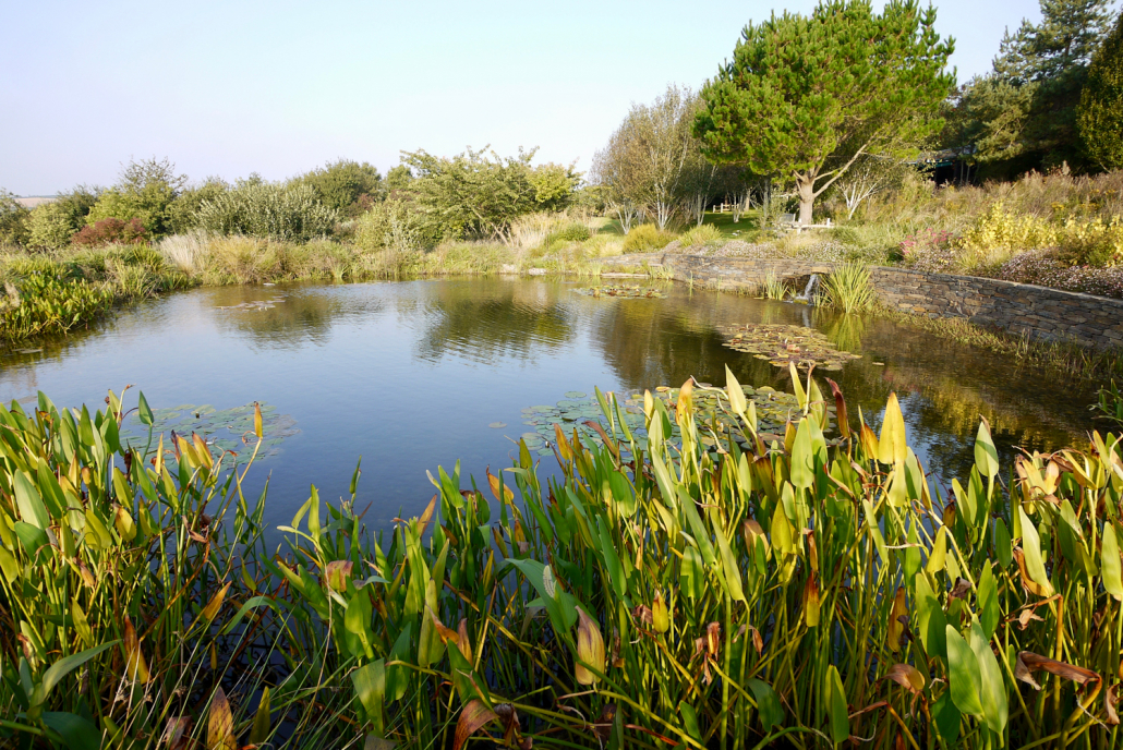 Natural pond builders Devon | waterscape design & construction