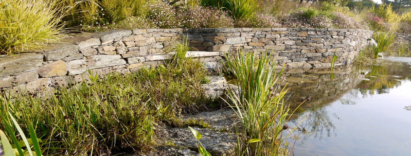Nature pond experts South Devon | Pond landscaping, water features & stonework