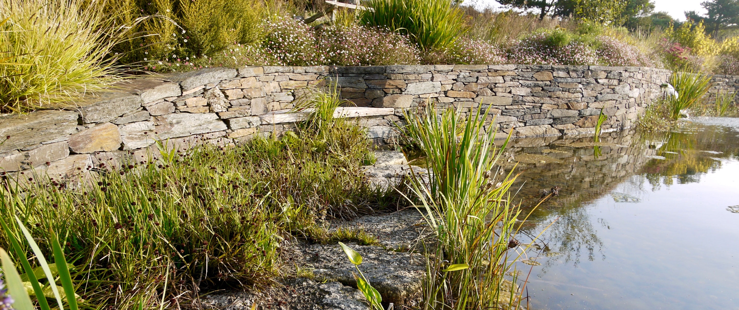 Nature pond experts South Devon | Pond landscaping, water features & stonework