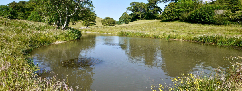 Pond & lake de-silting, dredging & restoration specialists South Devon