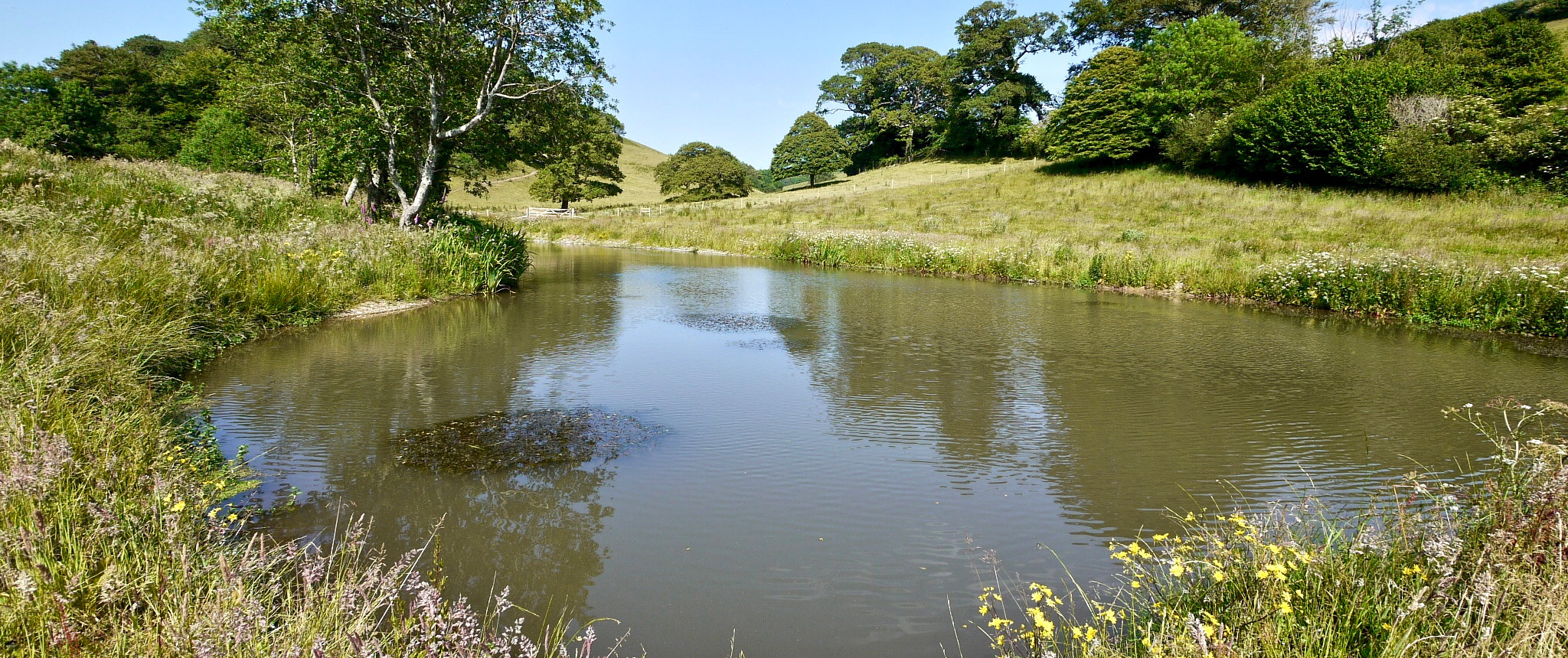 Pond & lake de-silting, dredging & restoration specialists South Devon