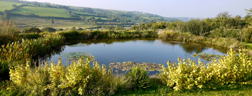 Natural swimming pools & lakes South Devon | Design & construction