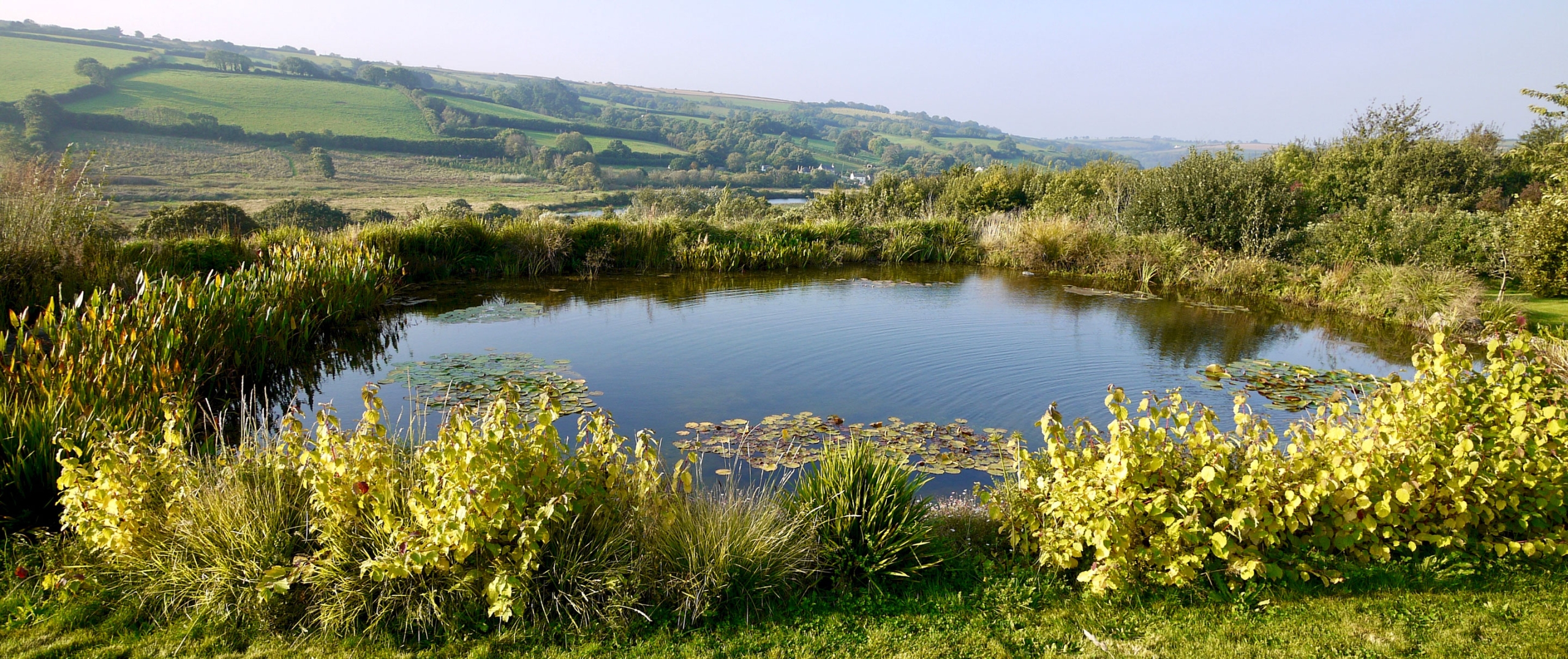 Natural swimming pools & lakes South Devon | Design & construction