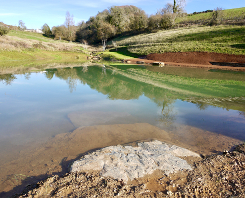 swim-ponds-lakes-photo5 Swimming pond & lake specialists South Devon - Earthform