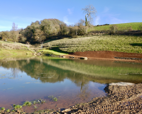 swim-ponds-lakes-photo6 Swimming pond & lake specialists South Devon - Earthform