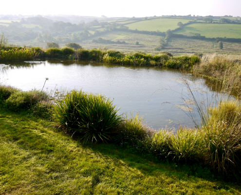 swim-ponds-lakes-photo8 Specialist swimming ponds South Devon- Earthform