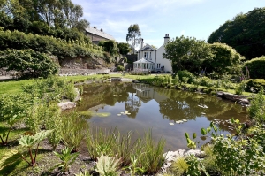 garden-pond-after-1500px Natural pond specialists South Devon- Earth Form, Devon