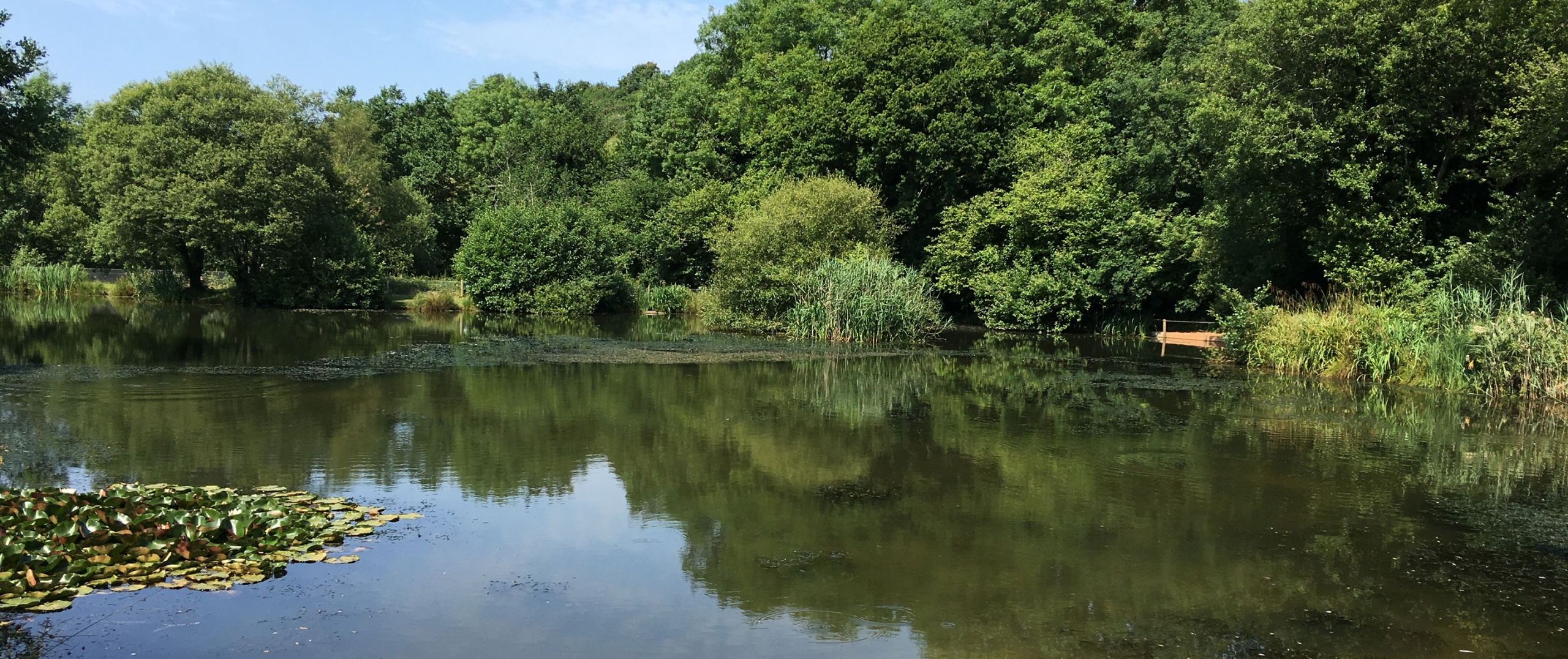 lake-restoration-banner-2880x1210 Waterscape experts South Devon, natural pond & lake excavation & restoration specialists