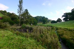 lake-restoration-stage1 Lake de-silting Devon, specialist lake restoration - Earthform