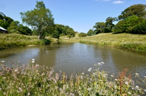 lake-restoration-stage3 Lake de-silting & restoration specialists South Devon