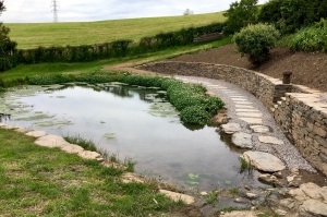 landscaped-pond-after-1500px Natural ponds with stonework & dry-stone walling South Devon