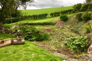 landscaped-pond-before-1500px Natural pond with dry-stone wall terracing South Devon