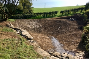 landscaped-pond-during-1500px Pond re-lining South Devon, natural ponds and landscaping