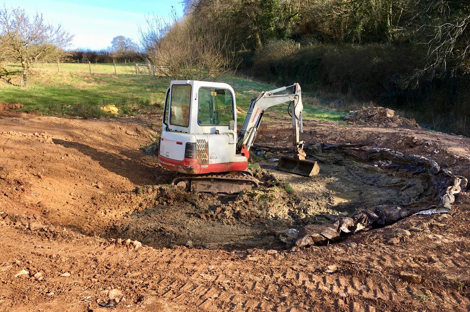 nature-pond-before-1500px Nature ponds & natural ponds South Devon. Earth Form, Devon