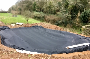 naure-pond-during-1500px Nature ponds & natural pond lining South Devon