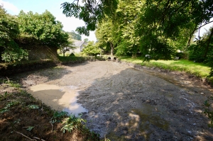 pond-restoration-stage3 Devon pond & lake de-silting & restoration - Earthform