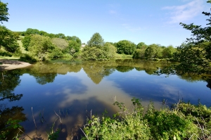 project1-after Specialist lake excavation & enlargement South Devon - Earthform