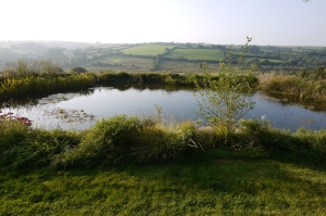 project2-after Pond & lake excavation specialists in Devon - Earthform