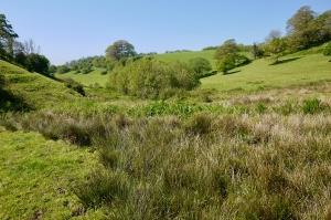 project3-before Specialist lake excavation company, South Devon