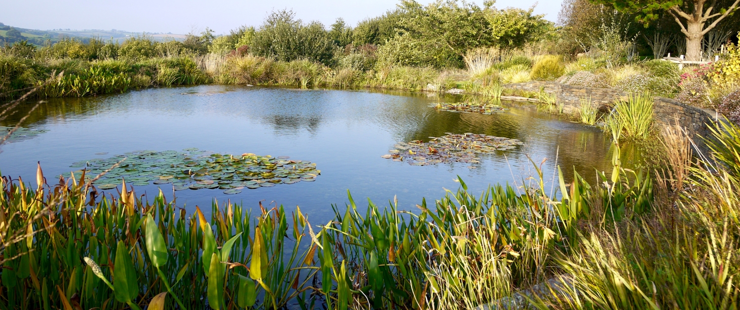 swim-ponds-lakes-banner-2880x1210 Swimming ponds Devon, natural swimming ponds & lakes - Earthform